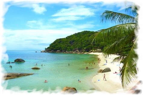 koh samui webcam|Koh Samui